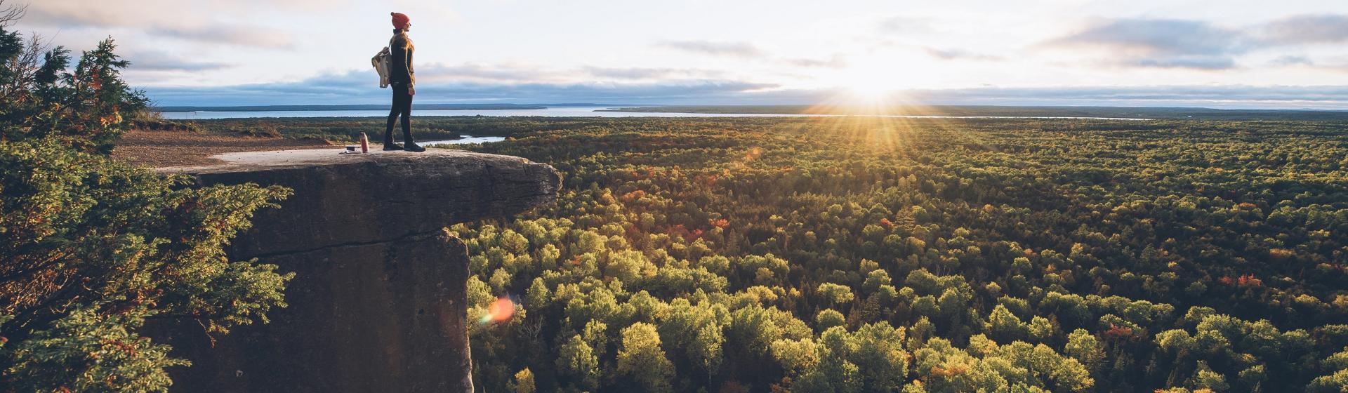 A person standing on a cliff overlooking a forest landscape