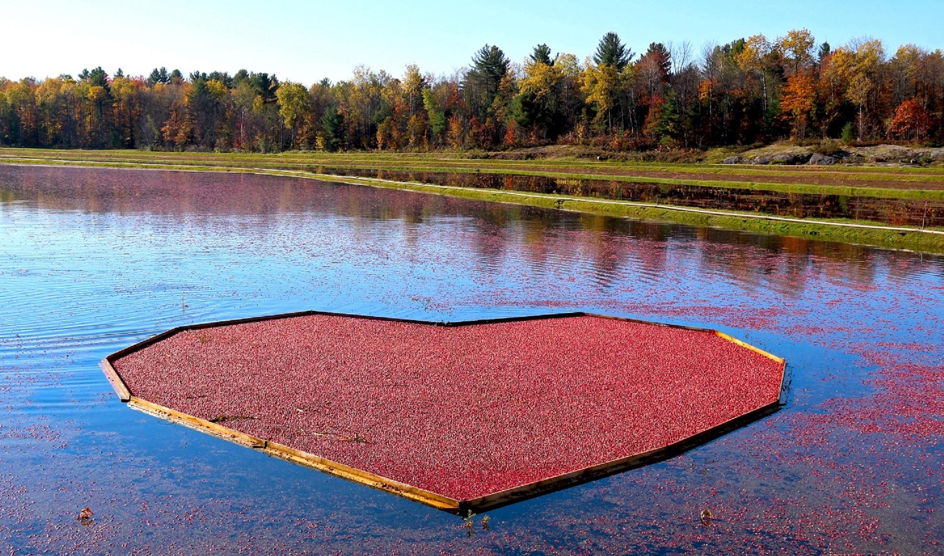 Red heart lake