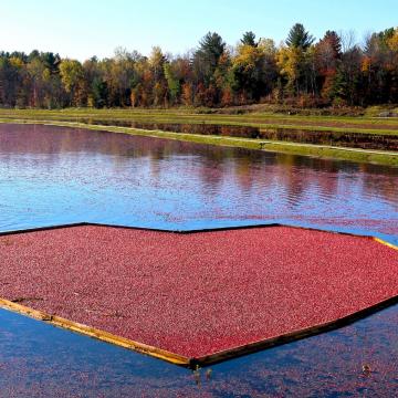 Red heart lake