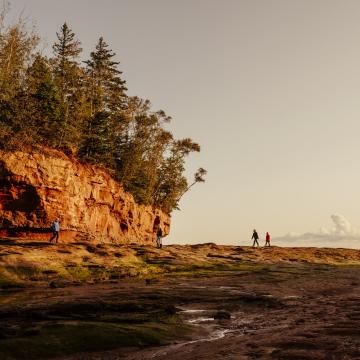 Photo of four people walking in Burntcoat Head Park, Nova Scotia